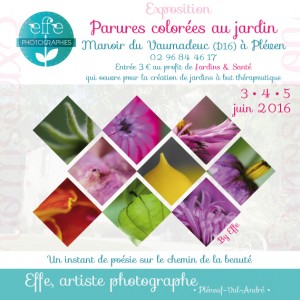 affiche rdv aux jardins 3 4 5 juin 2016